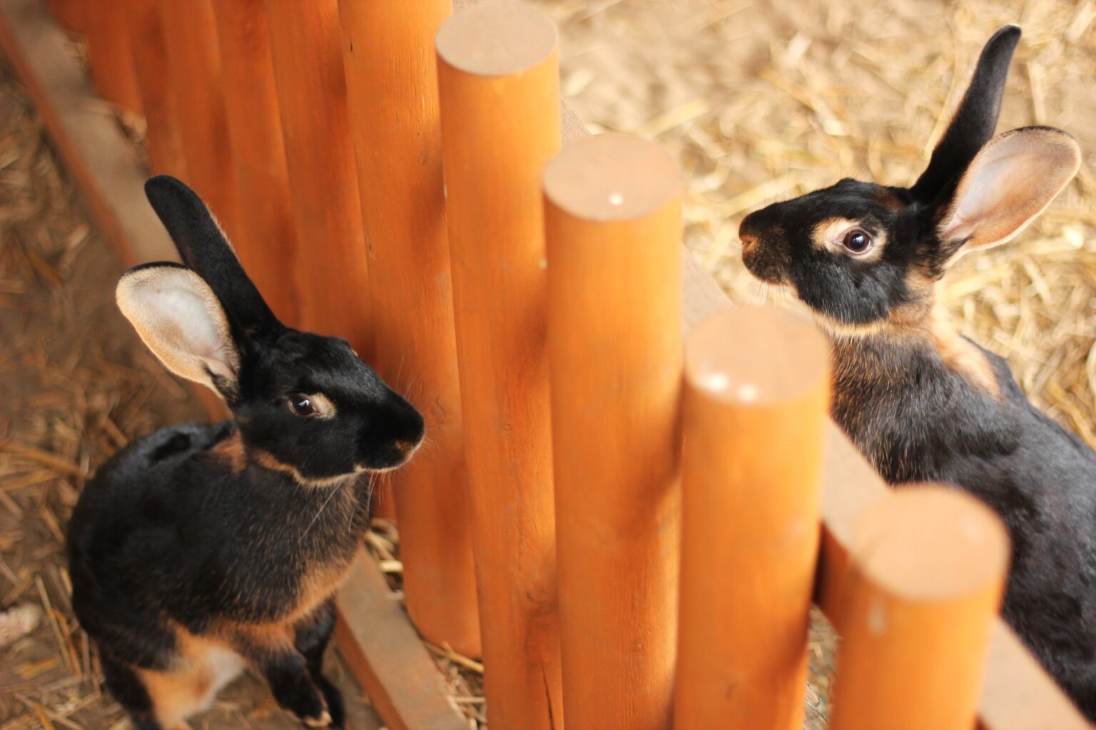 Co robić na weekend w Warszawie z dzieckiem? Zdjęcia, zabawa na świeżym