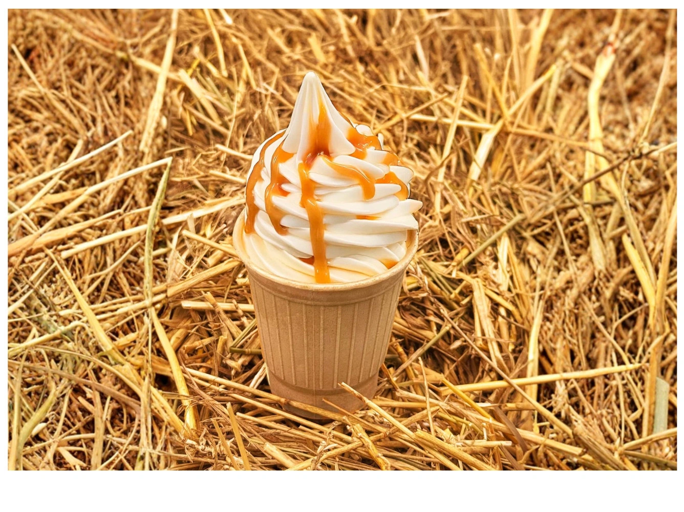 Twist of soft-serve vanilla in wooden cup drizzled with caramel, set on straw hay