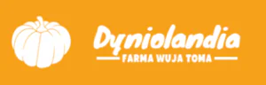 White pumpkin logo and 'Dyniolandia' text on bright orange banner, horizontal layout