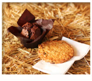 Moist chocolate muffin and chewy oat cookie displayed together on straw, warm rustic presentation.