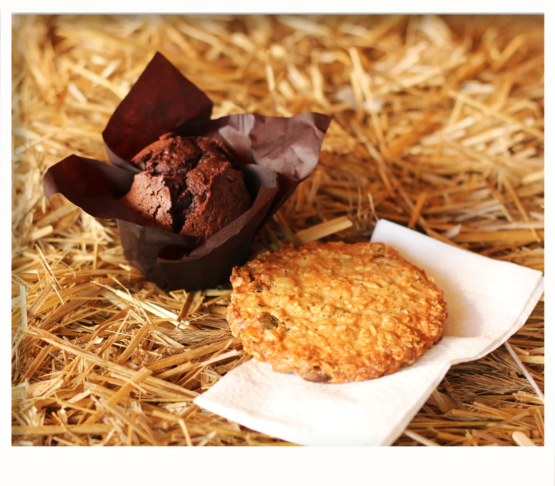 Chocolate muffin in dark paper wrapper beside large oat cookie on napkin, rustic hay backdrop.