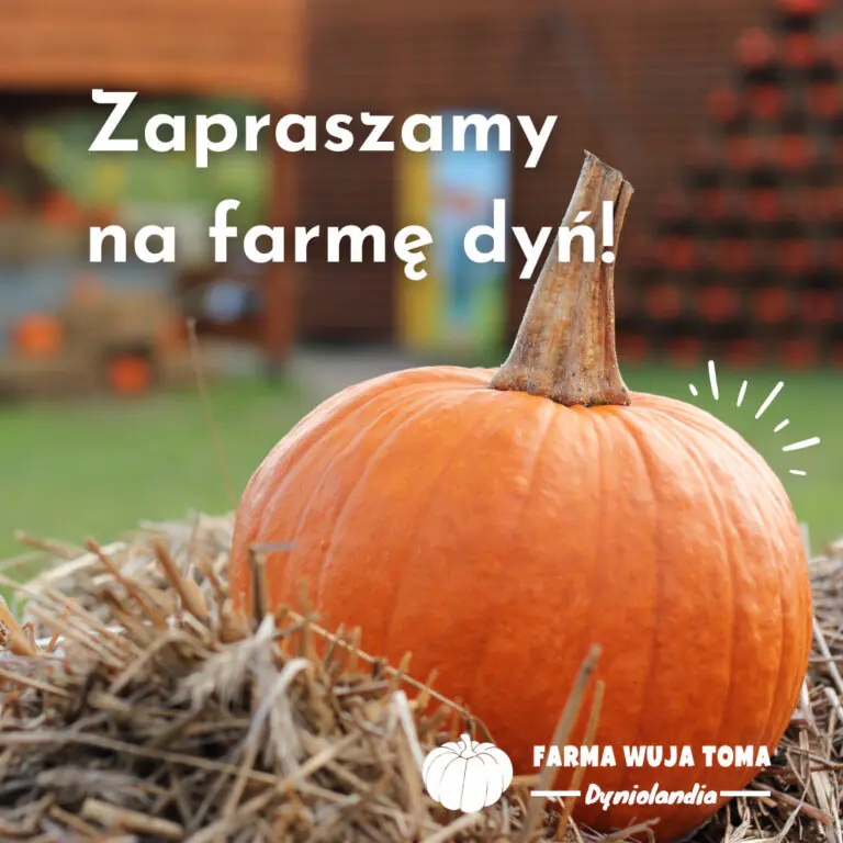 Large orange pumpkin on straw with blurred farm background and Polish invitation text